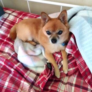 Buy Buy Buy Buy Buy Buy Buy